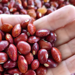 Frijoles